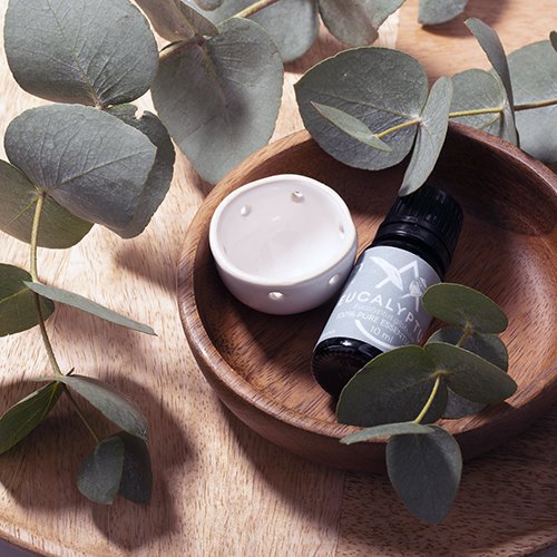 Saunum Aroma Oil Set (Eucalyptus)